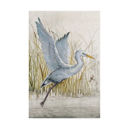 Tim Otoole 'Heron Sanctuary I' Canvas Art,16x24